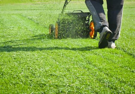 5 Benefits of Professional Lawn Mowing for Granbury Homes