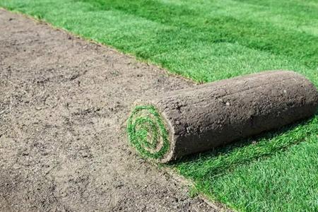 Creating a Stunning Landscape with Sod Installation Services in Granbury Thumbnail