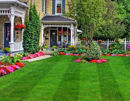 Spring Lawn Care Tips for Granbury Homeowners