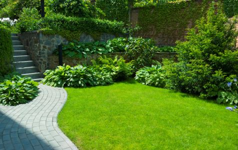 Top Common Lawn Problems in Granbury and How to Fix Them