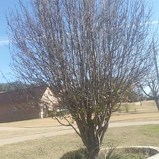 Flower Bed Renovation in Lipan, TX 32