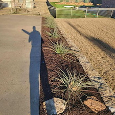 Flower Bed Renovation in Lipan, TX 3