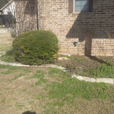 Flower Bed Renovation in Lipan, TX 35
