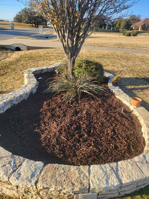 Lawn Care Image
