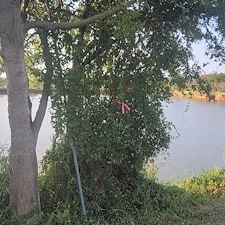 Tree-trimming-and-removal-Granbury-Texas 2