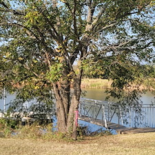 Tree-trimming-and-removal-Granbury-Texas 3