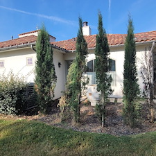 Tree-trimming-and-removal-Granbury-Texas 4