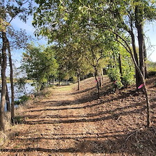 Tree-trimming-and-removal-Granbury-Texas 5