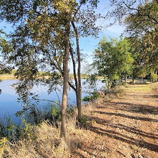 Tree-trimming-and-removal-Granbury-Texas 8
