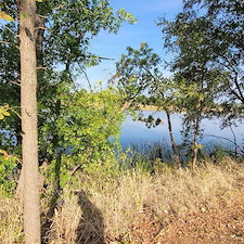 Tree-trimming-and-removal-Granbury-Texas 11