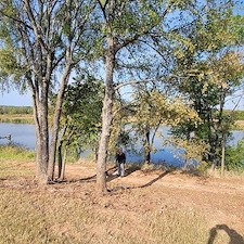 Tree-trimming-and-removal-Granbury-Texas 12