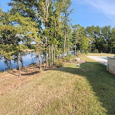 Tree-trimming-and-removal-Granbury-Texas 13