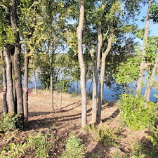 Tree-trimming-and-removal-Granbury-Texas 14