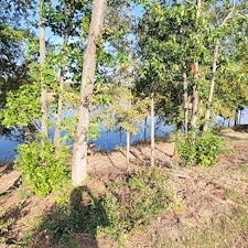 Tree-trimming-and-removal-Granbury-Texas 15