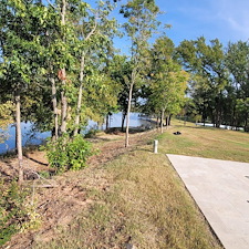 Tree-trimming-and-removal-Granbury-Texas 16