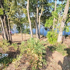 Tree-trimming-and-removal-Granbury-Texas 17