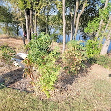 Tree-trimming-and-removal-Granbury-Texas 18